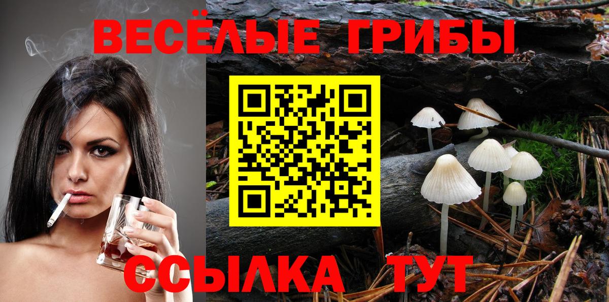 Галлюциногенные грибы Psilocybine cubensis Донецк
