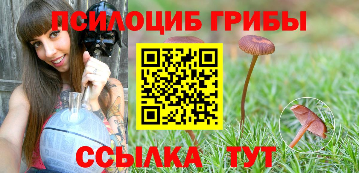 Донецк  Псилоцибиновые грибы Psilocybe  Вход с VPN 